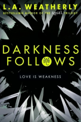 Könyv Darkness Follows L. A. Weatherly