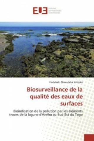 Kniha Biosurveillance de la qualité des eaux de surfaces Hodabalo Dheoulaba Solitoke