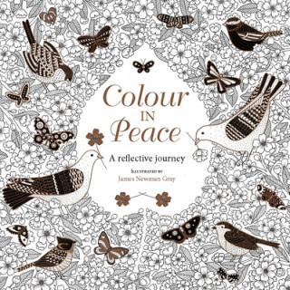 Kniha Colour in Peace James Newman Gray