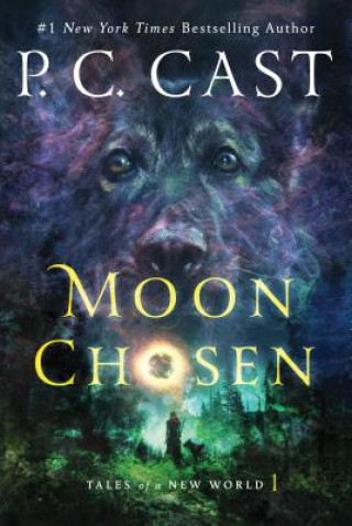 Könyv Moon Chosen P. C. Cast