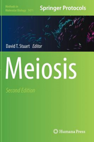 Book Meiosis David T. Stuart