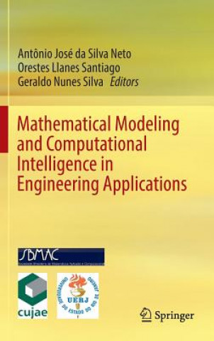 Kniha Mathematical Modeling and Computational Intelligence in Engineering Applications Antonio Jose da Silva Neto