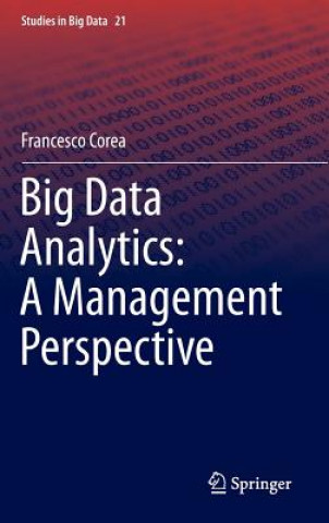 Kniha Big Data Analytics: A Management Perspective Francesco Corea