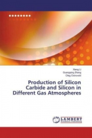 Carte Production of Silicon Carbide and Silicon in Different Gas Atmospheres Xiang Li