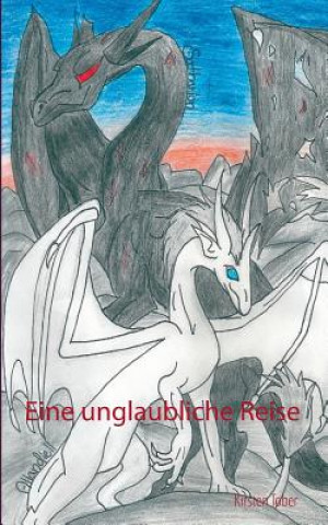 Buch Eine unglaubliche Reise Kirsten Tober