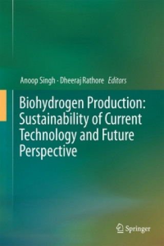 Βιβλίο Biohydrogen Production: Sustainability of Current Technology and Future Perspective Anoop Singh