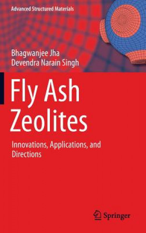 Książka Fly Ash Zeolites Bhagwanjee Jha