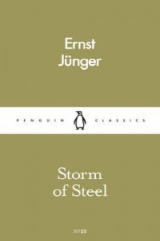 Könyv Storm of Steel Ernst Jünger