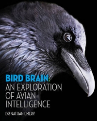 Carte Bird Brain: An exploration of avian intelligence Nathan Emery