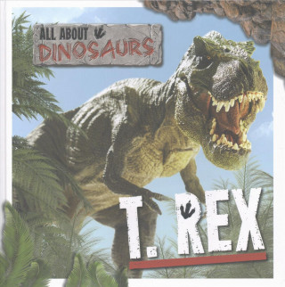 Könyv T. Rex Amy Allatson