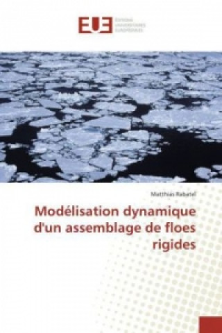 Książka Modélisation dynamique d'un assemblage de floes rigides Matthias Rabatel