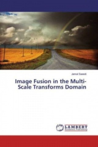 Книга Image Fusion in the Multi-Scale Transforms Domain Jamal Saeedi