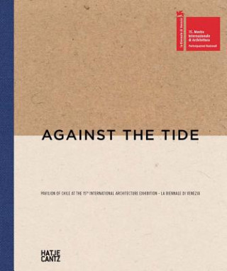 Kniha Against the Tide José Bengoa