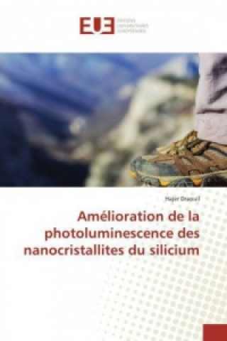 Könyv Amélioration de la photoluminescence des nanocristallites du silicium Hajer Draouil