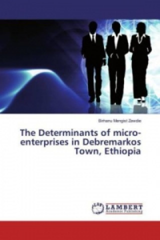 Kniha The Determinants of micro-enterprises in Debremarkos Town, Ethiopia Birhanu Mengist Zewdie