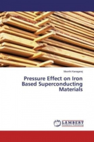 Kniha Pressure Effect on Iron Based Superconducting Materials Moorthi Kanagaraj
