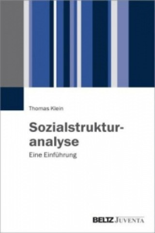Kniha Sozialstrukturanalyse Thomas Klein