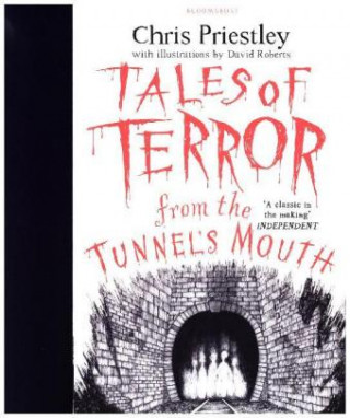 Könyv Tales of Terror from the Tunnel's Mouth Chris Priestley