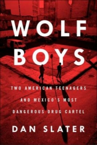 Könyv Wolf Boys Dan Slater