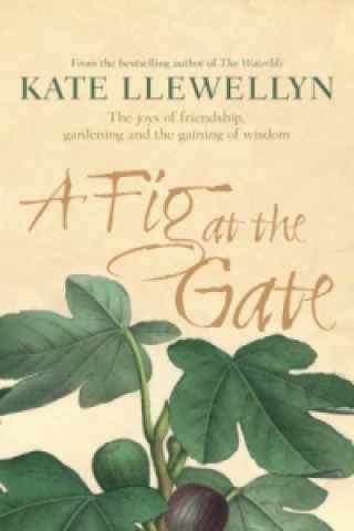 Kniha Fig at the Gate Kate Llewellyn