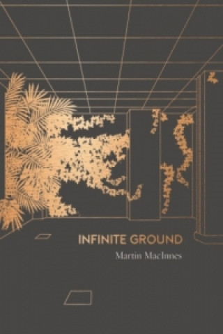 Kniha Infinite Ground Martin MacInnes