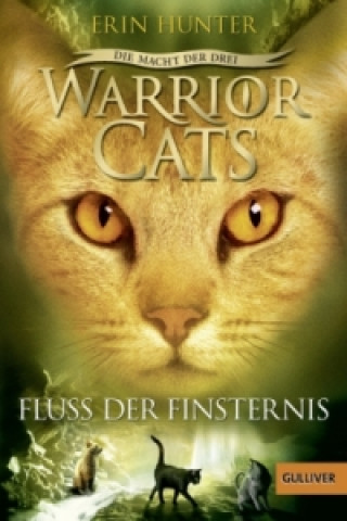 Kniha Warrior Cats, Die Macht der drei, Fluss der Finsternis Erin Hunter