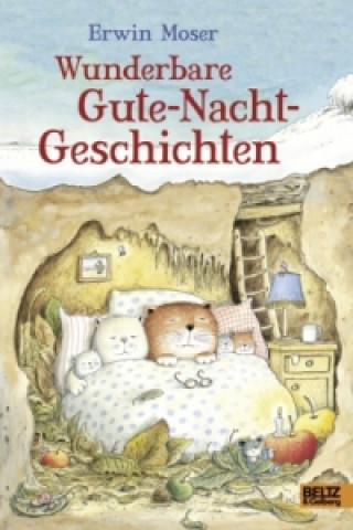 Könyv Wunderbare Gute-Nacht-Geschichten Erwin Moser