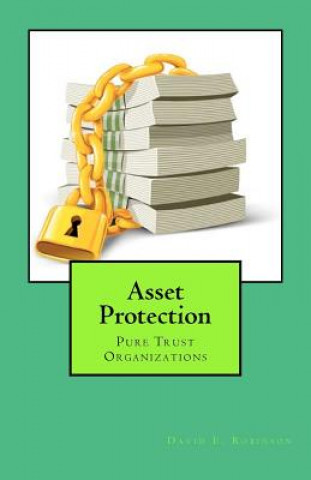 Kniha Asset Protection David E Robinson
