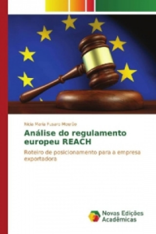 Kniha Análise do regulamento europeu REACH Nicia Maria Fusaro Mourão