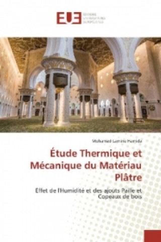 Kniha Étude Thermique et Mécanique du Matériau Plâtre Mohamed Lamine Hamida