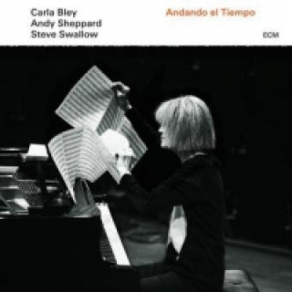 Audio Andando el Tiempo, 1 Audio-CD Carla/Sheppard Bley
