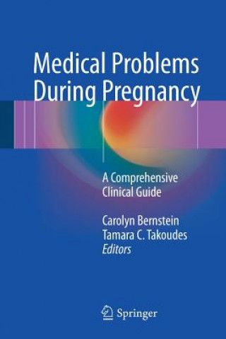 Kniha Medical Problems During Pregnancy Carolyn Bernstein