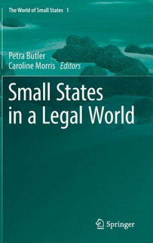 Kniha Small States in a Legal World Petra Butler