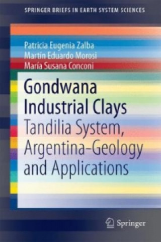 Kniha Gondwana Industrial Clays Patricia Eugenia Zalba