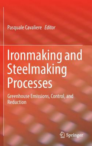 Carte Ironmaking and Steelmaking Processes Pasquale Cavaliere
