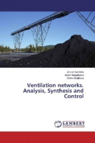 Könyv Ventilation networks. Analysis, Synthesis and Control Zhorzh Levitsky