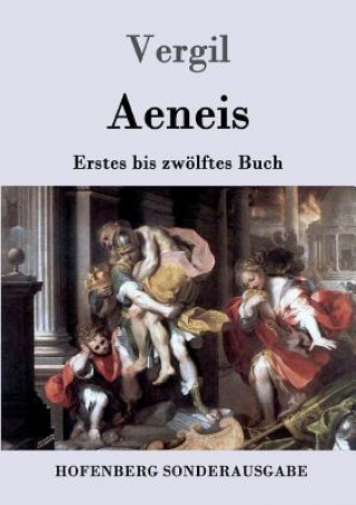 Buch Aeneis Vergil