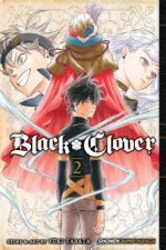 Kniha Black Clover, Vol. 2 Yuki Tabata