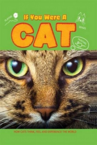 Könyv If You Were a Cat Clare Hibbert
