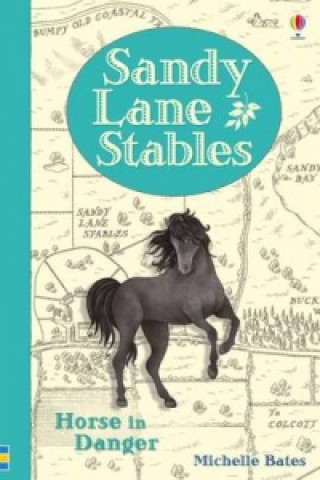 Könyv Sandy Lane Stables Michelle Bates