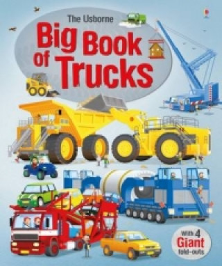 Kniha Big Book of Trucks Megan Cullis