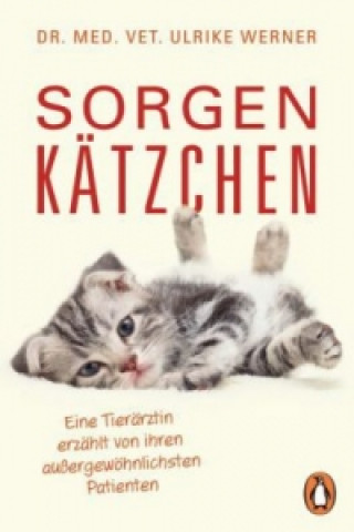 Kniha Sorgenkätzchen Ulrike Werner