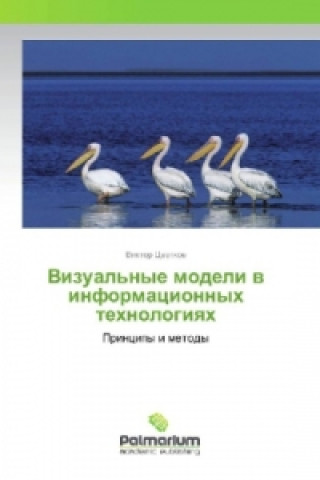 Kniha Vizual'nye modeli v informacionnyh tehnologiyah Viktor Cvetkov