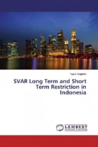 Книга SVAR Long Term and Short Term Restriction in Indonesia Teguh Sugiarto