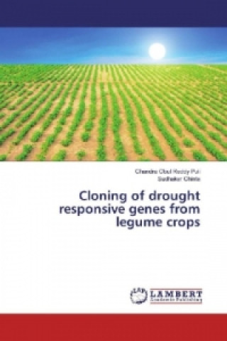 Könyv Cloning of drought responsive genes from legume crops Chandra Obul Reddy Puli