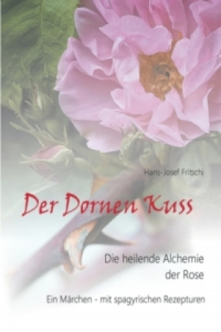 Kniha Der Dornen Kuss Hans-Josef Fritschi