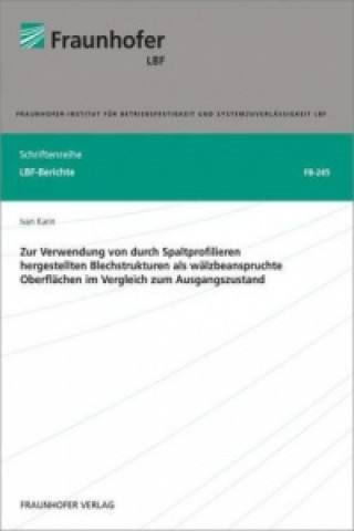 Kniha Zur Verwendung von durch Spaltprofilieren hergestellten Blechstrukturen als wälzbeanspruchte Oberflächen im Vergleich zum Ausgangszustand. Ivan Karin
