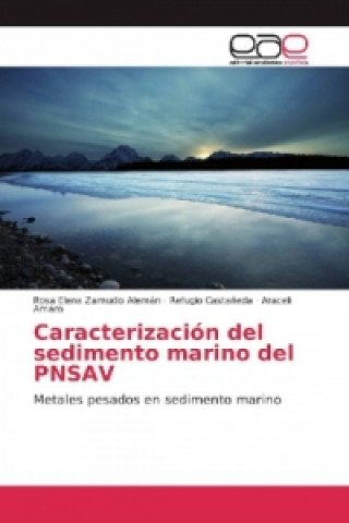 Carte Caracterización del sedimento marino del PNSAV Rosa Elena Zamudio Alemán