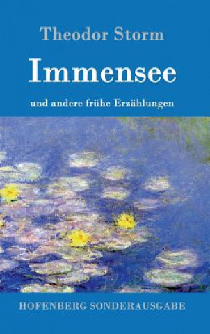 Livre Immensee Theodor Storm