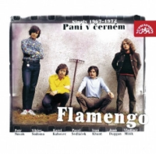 Audio Paní v černém - Singly 1967 - 1972 CD Flamengo